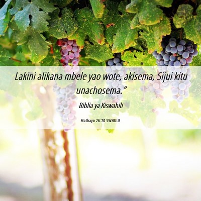 Picture 06 - Mathayo 26:70 SWHULB - Lakini alikana mbele yao wote, akisema, Sijui - Bible Verse Picture