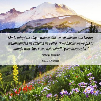 Picture 06 - Mathayo 26:73 SWHULB - Muda mfupi baadaye, wale waliokuwa wamesimama - Bible Verse Picture