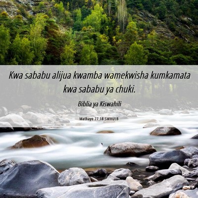 Picture 06 - Mathayo 27:18 SWHULB - Kwa sababu alijua kwamba wamekwisha kumkamata kwa - Bible Verse Picture
