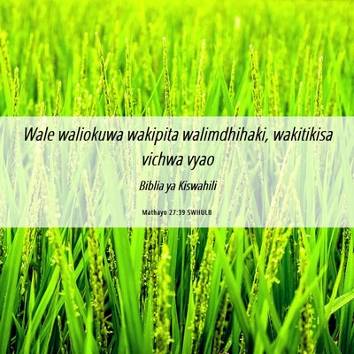 Picture 06 - Mathayo 27:39 SWHULB - Wale waliokuwa wakipita walimdhihaki, wakitikisa - Bible Verse Picture