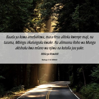 Picture 06 - Mathayo 3:16 SWHULB - Baada ya kuwa amebatizwa, mara Yesu alitoka - Bible Verse Picture