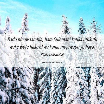 Picture 06 - Mathayo 6:29 SWHULB - Bado ninawaambia, hata Sulemani katika utukufu - Bible Verse Picture