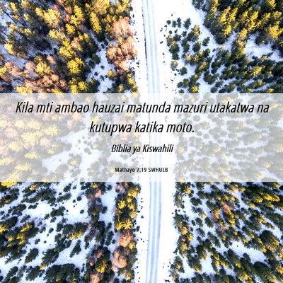 Picture 06 - Mathayo 7:19 SWHULB - Kila mti ambao hauzai matunda mazuri utakatwa na - Bible Verse Picture
