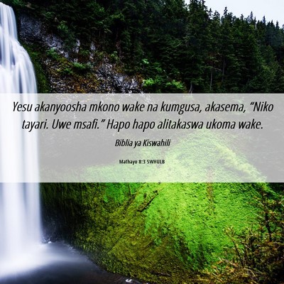 Picture 06 - Mathayo 8:3 SWHULB - Yesu akanyoosha mkono wake na kumgusa, akasema, - Bible Verse Picture