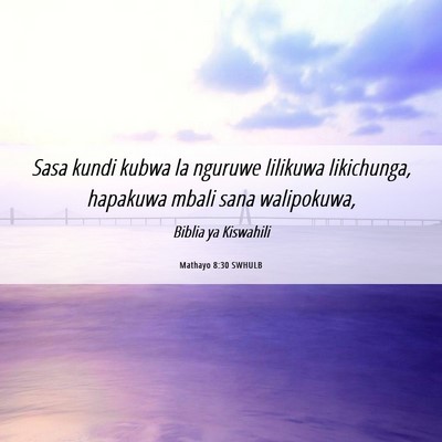 Picture 06 - Mathayo 8:30 SWHULB - Sasa kundi kubwa la nguruwe lilikuwa likichunga, - Bible Verse Picture
