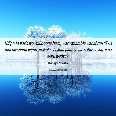 Picture 06 - Mathayo 9:11 SWHULB - Ndipo Mafarisayo walipoona hayo, wakawaambia - Bible Verse Picture