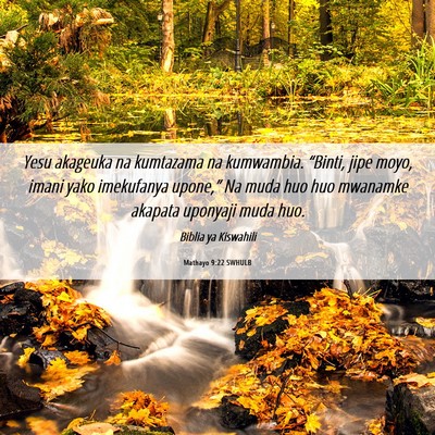 Picture 06 - Mathayo 9:22 SWHULB - Yesu akageuka na kumtazama na kumwambia. - Bible Verse Picture