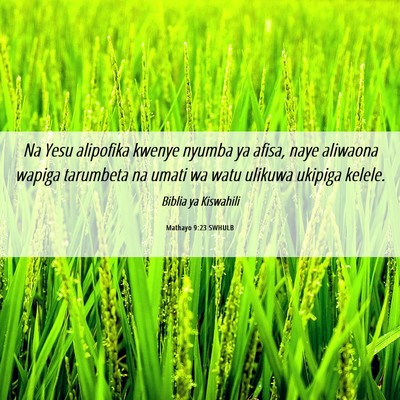 Picture 06 - Mathayo 9:23 SWHULB - Na Yesu alipofika kwenye nyumba ya afisa, naye - Bible Verse Picture