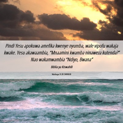 Picture 06 - Mathayo 9:28 SWHULB - Pindi Yesu apokuwa amefika kwenye nyumba, wale - Bible Verse Picture