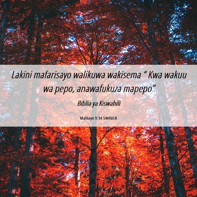 Picture 06 - Mathayo 9:34 SWHULB - Lakini mafarisayo walikuwa wakisema “ Kwa wakuu - Bible Verse Picture