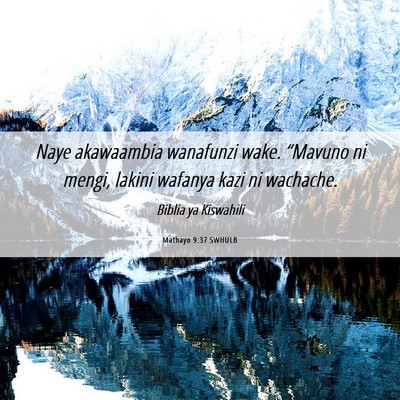 Picture 06 - Mathayo 9:37 SWHULB - Naye akawaambia wanafunzi wake. “Mavuno ni - Bible Verse Picture