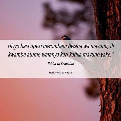 Picture 06 - Mathayo 9:38 SWHULB - Hivyo basi upesi mwombeni Bwana wa mavuno, ili - Bible Verse Picture