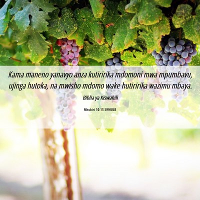 Picture 06 - Mhubiri 10:13 SWHULB - Kama maneno yanavyo anza kutiririka mdomoni mwa - Bible Verse Picture