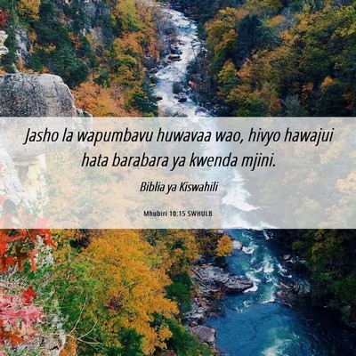 Picture 06 - Mhubiri 10:15 SWHULB - Jasho la wapumbavu huwavaa wao, hivyo hawajui - Bible Verse Picture