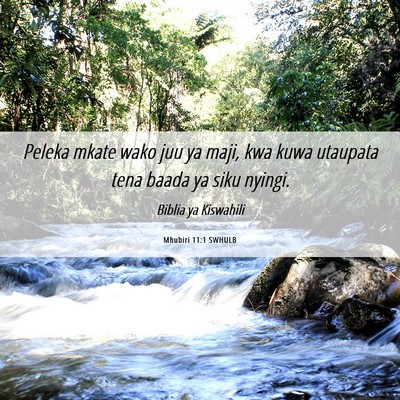 Picture 06 - Mhubiri 11:1 SWHULB - Peleka mkate wako juu ya maji, kwa kuwa utaupata - Bible Verse Picture