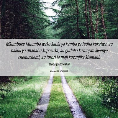 Picture 06 - Mhubiri 12:6 SWHULB - Mkumbuke Muumba wako kabla ya kamba ya fedha - Bible Verse Picture
