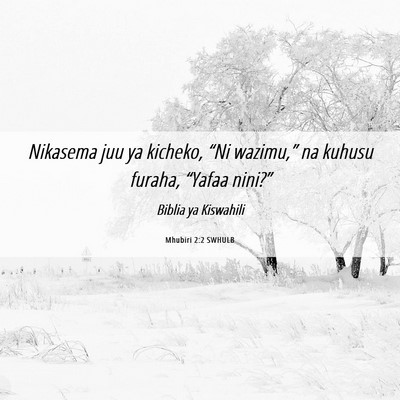 Picture 06 - Mhubiri 2:2 SWHULB - Nikasema juu ya kicheko, “Ni wazimu,” na - Bible Verse Picture