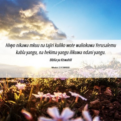 Picture 06 - Mhubiri 2:9 SWHULB - Hivyo nikawa mkuu na tajiri kuliko wote waliokuwa - Bible Verse Picture