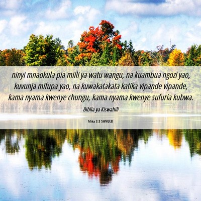 Picture 06 - Mika 3:3 SWHULB - ninyi mnaokula pia miili ya watu wangu, na - Bible Verse Picture
