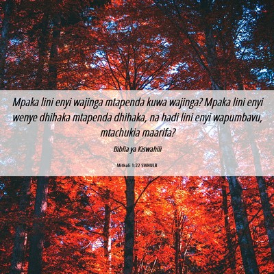 Picture 06 - Mithali 1:22 SWHULB - Mpaka lini enyi wajinga mtapenda kuwa wajinga? - Bible Verse Picture