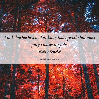 Picture 06 - Mithali 10:12 SWHULB - Chuki huchochea mafarakano, bali upendo hufunika - Bible Verse Picture