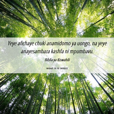 Picture 06 - Mithali 10:18 SWHULB - Yeye afichaye chuki anamidomo ya uongo, na yeye - Bible Verse Picture