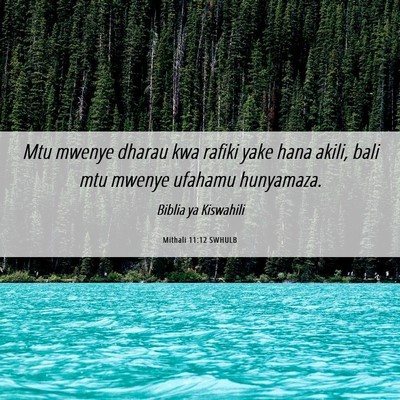 Picture 06 - Mithali 11:12 SWHULB - Mtu mwenye dharau kwa rafiki yake hana akili, - Bible Verse Picture