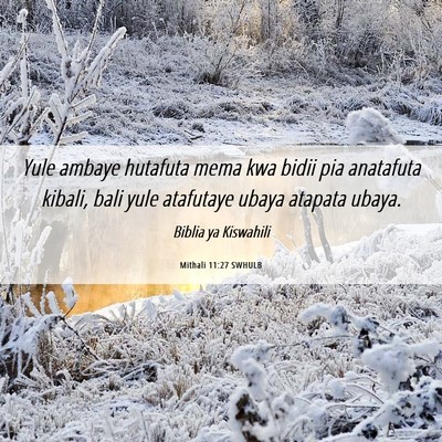Picture 06 - Mithali 11:27 SWHULB - Yule ambaye hutafuta mema kwa bidii pia anatafuta - Bible Verse Picture