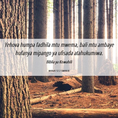 Picture 06 - Mithali 12:2 SWHULB - Yehova humpa fadhila mtu mwema, bali mtu ambaye - Bible Verse Picture