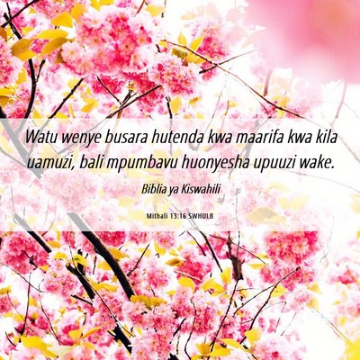 Picture 06 - Mithali 13:16 SWHULB - Watu wenye busara hutenda kwa maarifa kwa kila - Bible Verse Picture