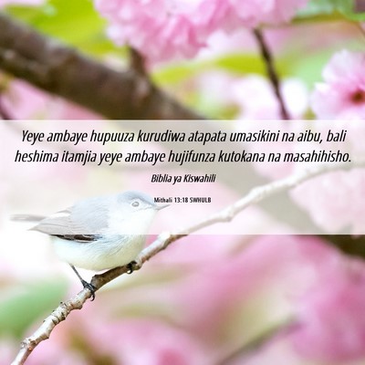 Picture 06 - Mithali 13:18 SWHULB - Yeye ambaye hupuuza kurudiwa atapata umasikini na - Bible Verse Picture