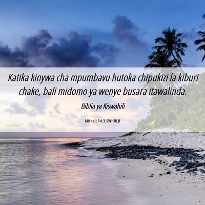 Picture 06 - Mithali 14:3 SWHULB - Katika kinywa cha mpumbavu hutoka chipukizi la - Bible Verse Picture