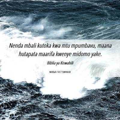 Picture 06 - Mithali 14:7 SWHULB - Nenda mbali kutoka kwa mtu mpumbavu, maana - Bible Verse Picture