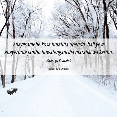 Picture 06 - Mithali 17:9 SWHULB - Anayesamehe kosa hutafuta upendo, bali yeye - Bible Verse Picture