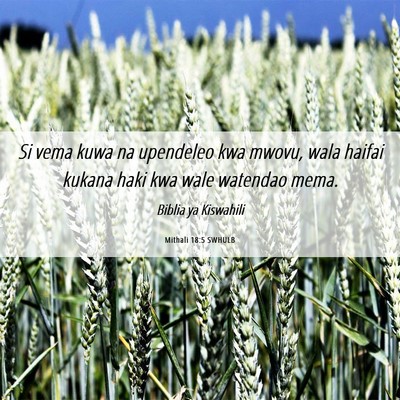 Picture 06 - Mithali 18:5 SWHULB - Si vema kuwa na upendeleo kwa mwovu, wala haifai - Bible Verse Picture