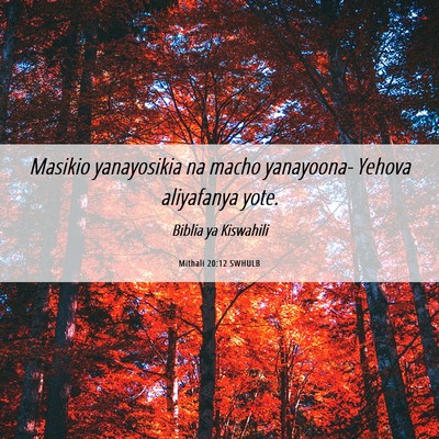Picture 06 - Mithali 20:12 SWHULB - Masikio yanayosikia na macho yanayoona- Yehova - Bible Verse Picture