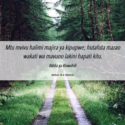 Picture 06 - Mithali 20:4 SWHULB - Mtu mvivu halimi majira ya kipupwe; hutafuta - Bible Verse Picture