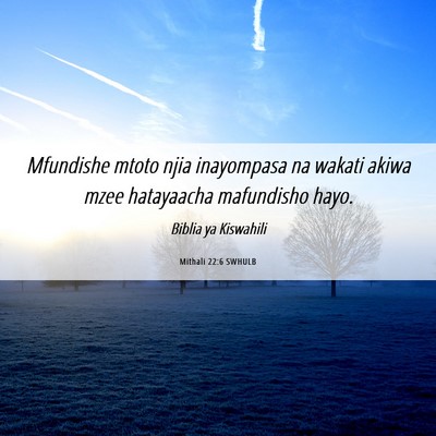 Picture 06 - Mithali 22:6 SWHULB - Mfundishe mtoto njia inayompasa na wakati akiwa - Bible Verse Picture