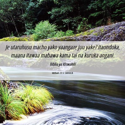 Picture 06 - Mithali 23:5 SWHULB - Je utaruhusu macho yako yaangaze juu yake? - Bible Verse Picture
