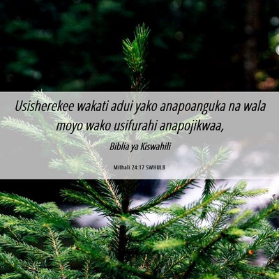 Picture 06 - Mithali 24:17 SWHULB - Usisherekee wakati adui yako anapoanguka na wala - Bible Verse Picture