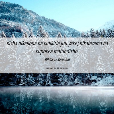 Picture 06 - Mithali 24:32 SWHULB - Kisha nikaliona na kufikiria juu yake; nikatazama - Bible Verse Picture