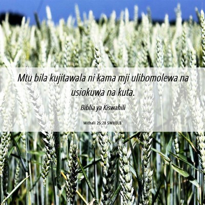 Picture 06 - Mithali 25:28 SWHULB - Mtu bila kujitawala ni kama mji ulibomolewa na - Bible Verse Picture