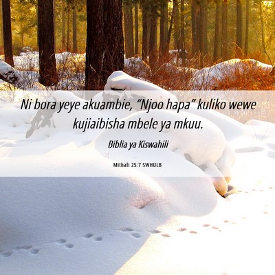 Picture 06 - Mithali 25:7 SWHULB - Ni bora yeye akuambie, “Njoo hapa” kuliko - Bible Verse Picture