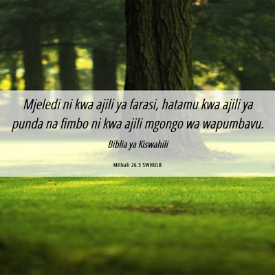 Picture 06 - Mithali 26:3 SWHULB - Mjeledi ni kwa ajili ya farasi, hatamu kwa ajili - Bible Verse Picture