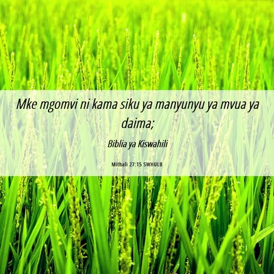 Picture 06 - Mithali 27:15 SWHULB - Mke mgomvi ni kama siku ya manyunyu ya mvua ya - Bible Verse Picture