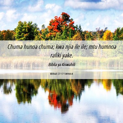 Picture 06 - Mithali 27:17 SWHULB - Chuma hunoa chuma; kwa njia ile ile; mtu humnoa - Bible Verse Picture