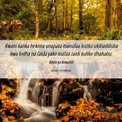 Picture 06 - Mithali 3:14 SWHULB - Kwani katika hekima unapata manufaa kuliko - Bible Verse Picture