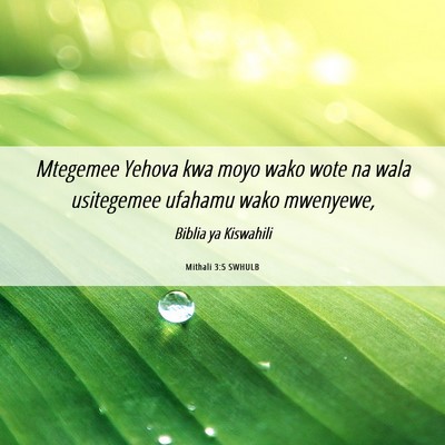Picture 06 - Mithali 3:5 SWHULB - Mtegemee Yehova kwa moyo wako wote na wala - Bible Verse Picture