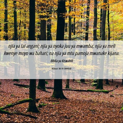 Picture 06 - Mithali 30:19 SWHULB - njia ya tai angani; njia ya nyoka juu ya mwamba; - Bible Verse Picture