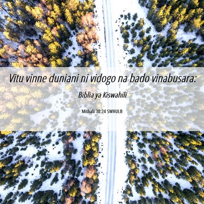 Picture 06 - Mithali 30:24 SWHULB - Vitu vinne duniani ni vidogo na bado - Bible Verse Picture